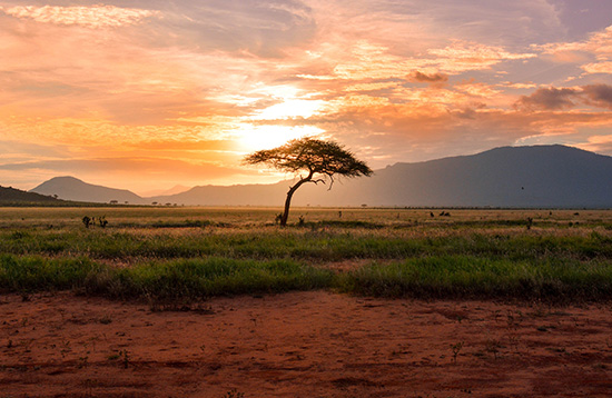 Kenia y Zanzíbar