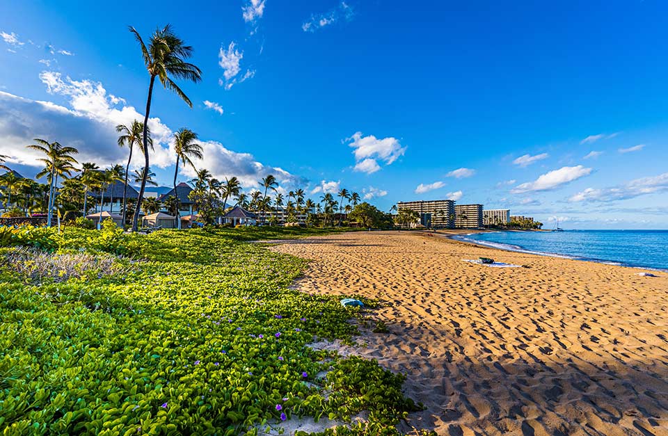 Hawái
