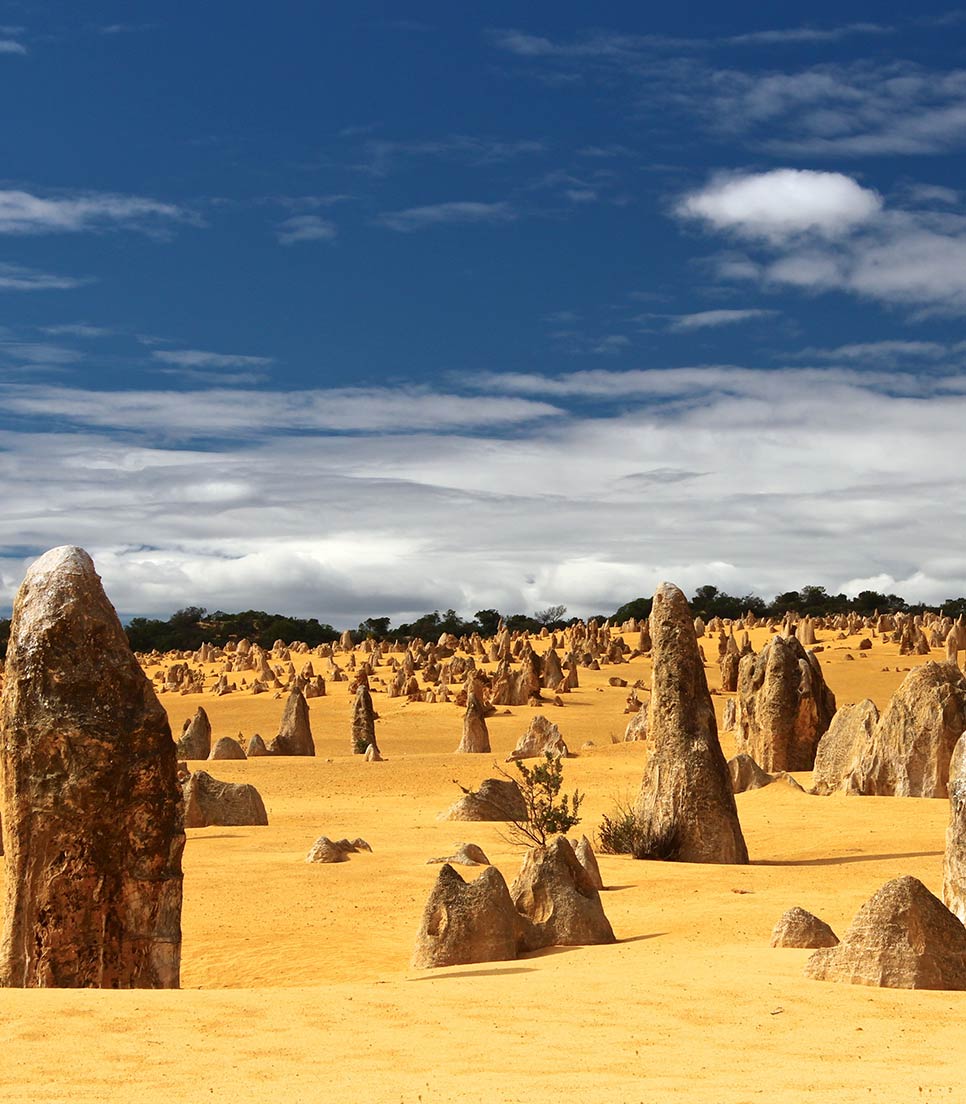 Desierto de los Pinaculos - Cervantes - Australia