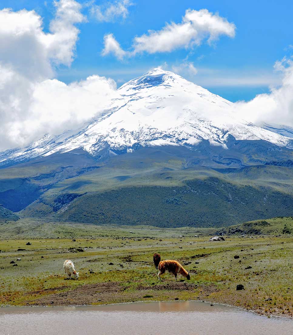 Cotopaxi