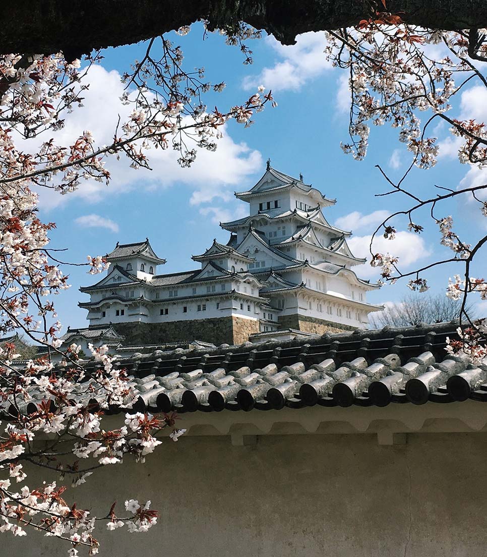 Castillo Himeji - Himeji