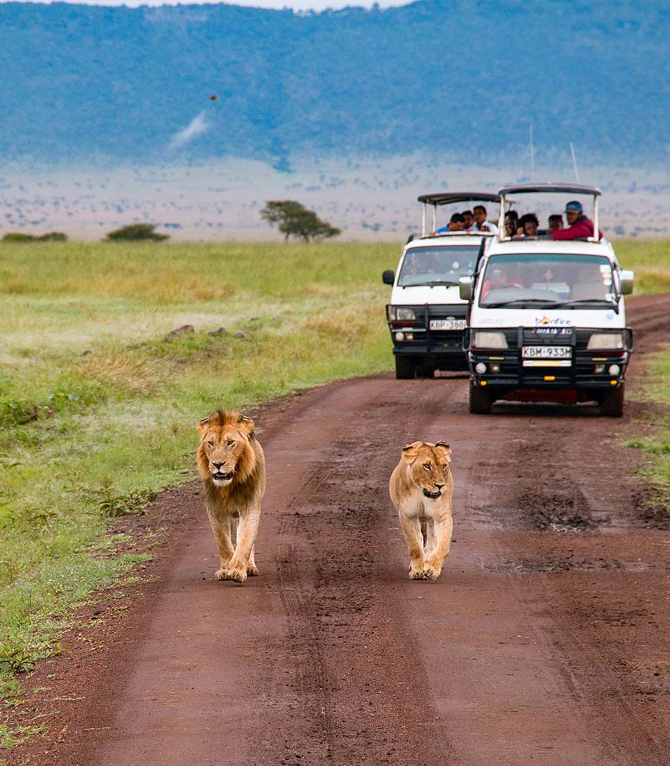 Reserva Natural Masai Mara - Kenia
