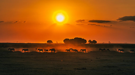 Atardecer
