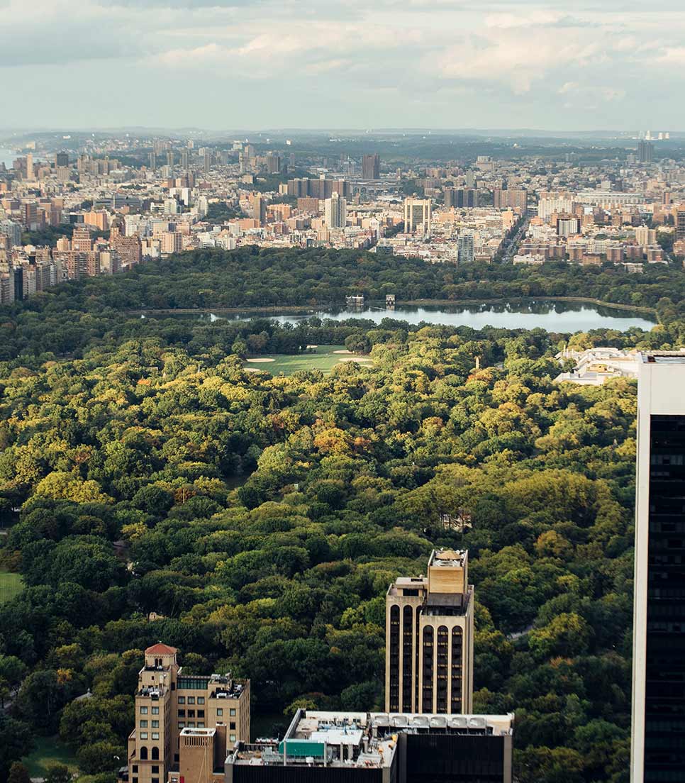 Central Park - Nueva York