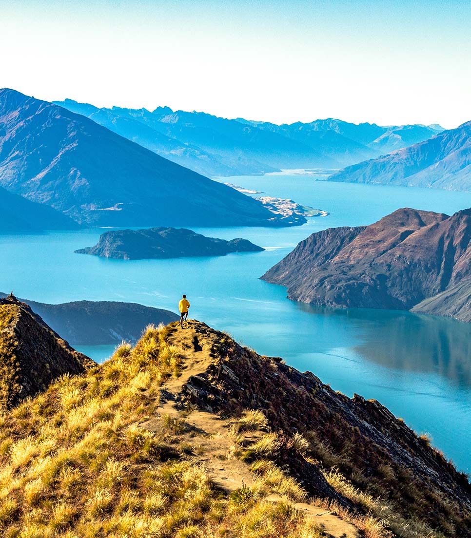 Pico de Roy - Wanaka